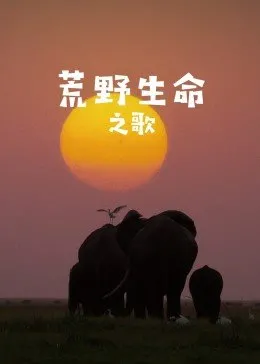 荒野生命之歌(2021)海报