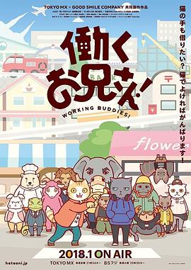 工作的哥哥(2018)海报