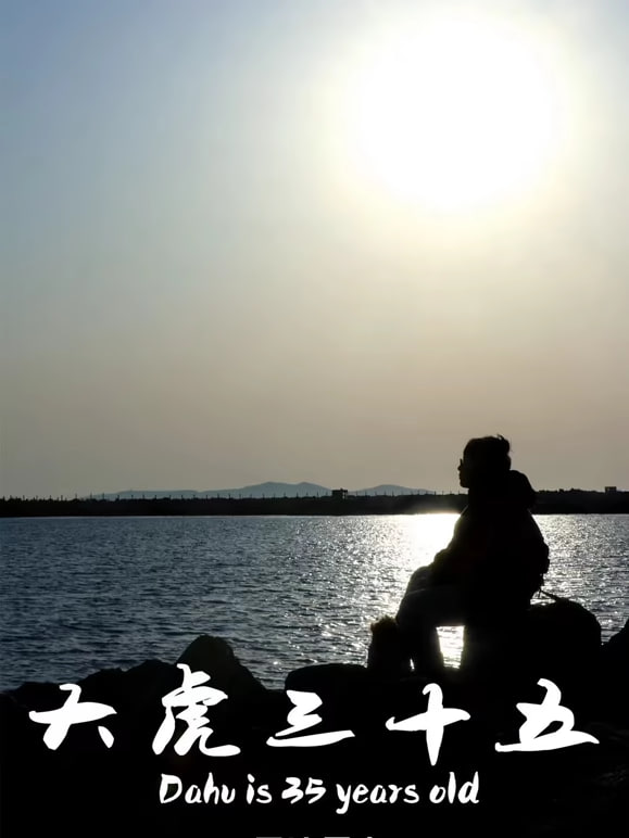 大虎三十五(2025)海报