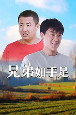 兄弟如手足(2008)海报