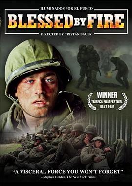炮火磷磷(2005)海报