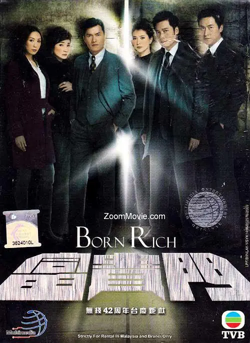 富贵门粤语(2009)海报