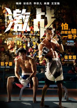 激战(普通话版)(2013)海报