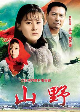 山野(2000)海报