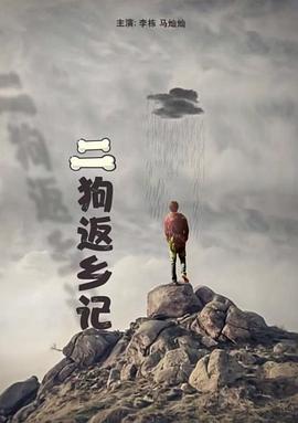 二狗返乡记(2011)海报