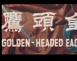 金头鹰粤语(1970)海报
