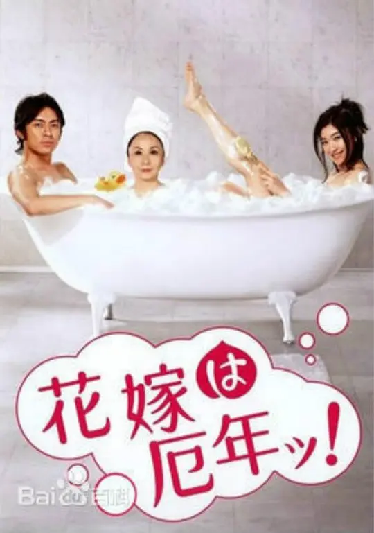 新娘厄运年(2006)海报