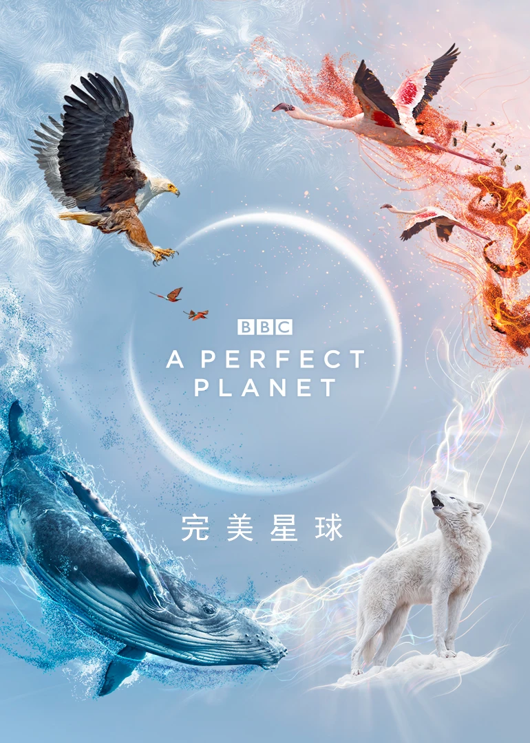 完美星球英语(2021)海报