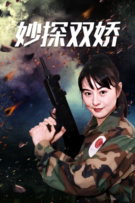 妙探双娇(2013)海报