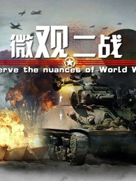 微观二战(2021)海报