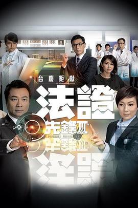 法证先锋3国语(2011)海报