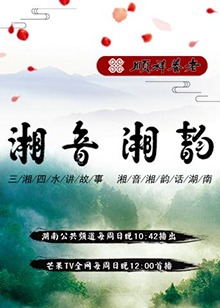 湘音湘韵2018(2018)海报
