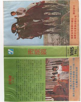 青龍鎮(1968)海报