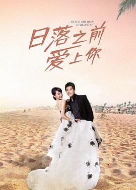 日落之前爱上你(2010)海报