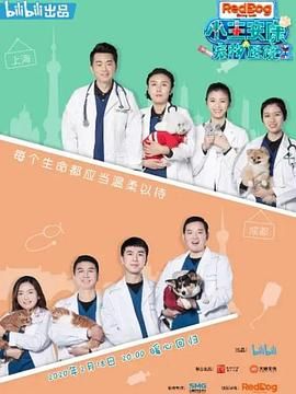 小主安康-宠物医院2(2020)海报