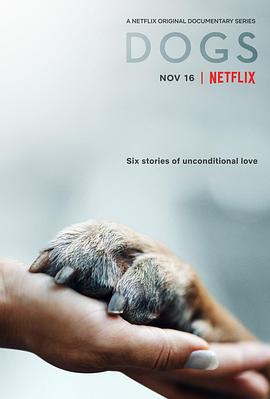 爱犬情深第一季(2018)海报