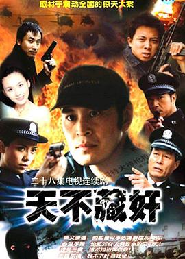 天不藏奸(2003)海报