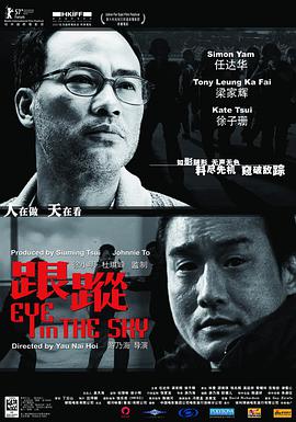 跟踪(粤语版)(2007)海报