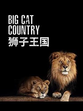 狮子王国(2018)海报