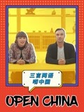 三言两语唠中国(2020)海报