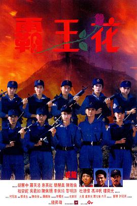 霸王花(国语版)(1988)海报