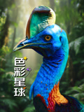 色彩星球配音版(2026)海报