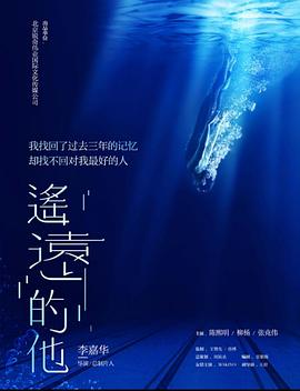 遥远的他(2018)海报