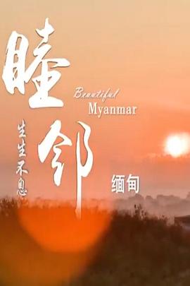 睦邻·缅甸(2020)海报