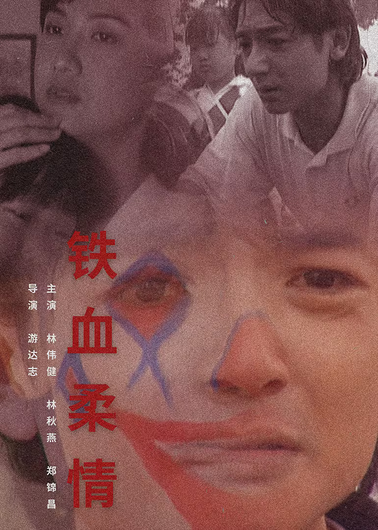 铁血柔情1995(1995)海报