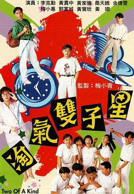 淘气双子星粤语(1989)海报