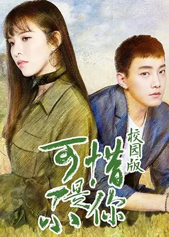 可惜不是你 校园版(2017)海报