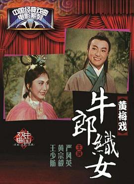 牛郎织女1963(1963)海报