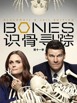 识骨寻踪第十一季(2015)海报