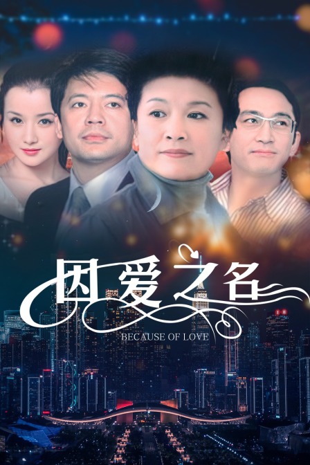 因爱之名(2009)海报