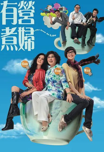 有营煮妇国语(2009)海报