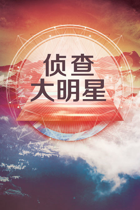 侦查大明星(2011)海报