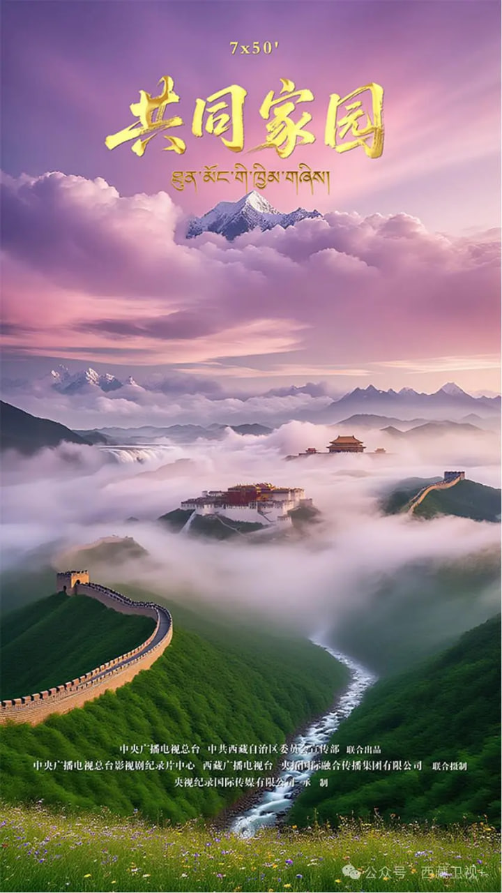 共同家园(2026)海报