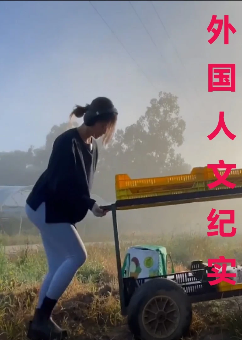 外国人文纪实海报
