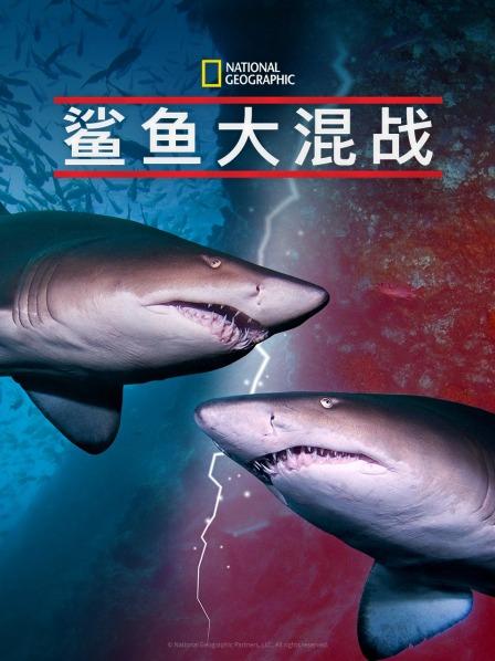 鲨鱼大混战(2019)海报