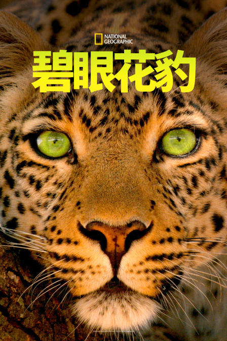 碧眼花豹(2022)海报