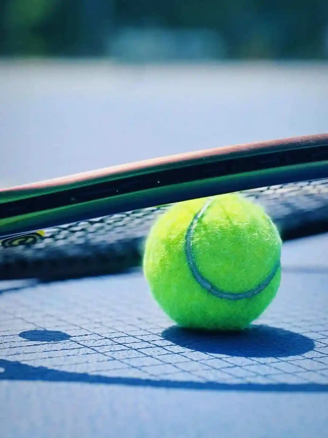 WTA500华盛顿站女单第二轮:佩古拉VS弗莱彻海报