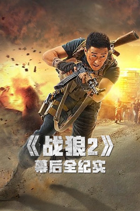 《战狼2》幕后全纪实(2021)海报