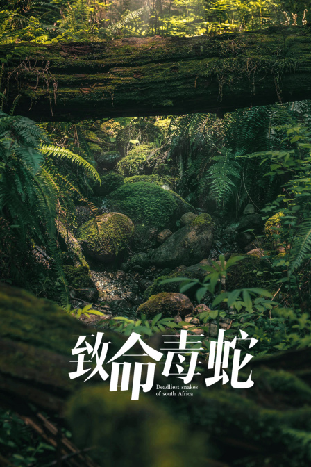 致命毒蛇(2021)海报
