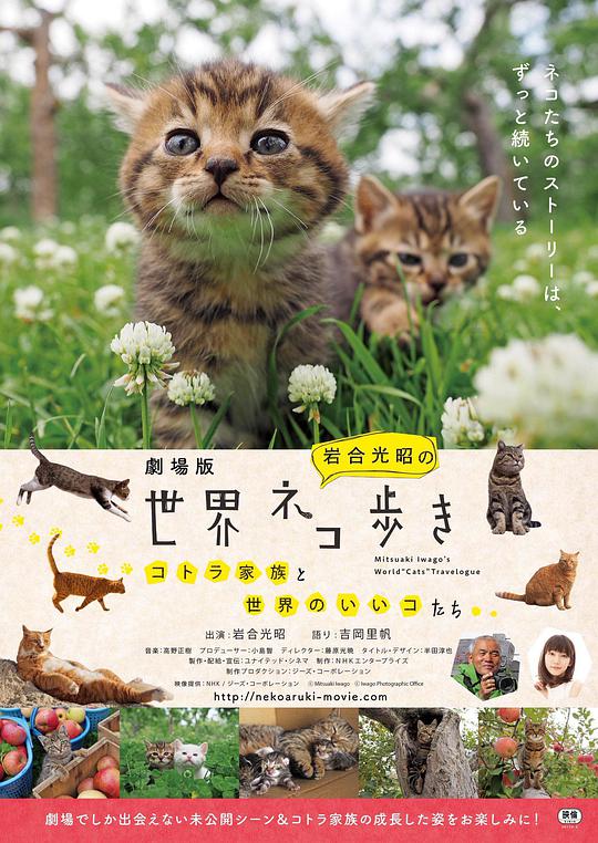 捉喵记(2019)海报