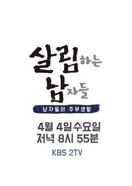 做家务的男人们 第二季(2017)海报