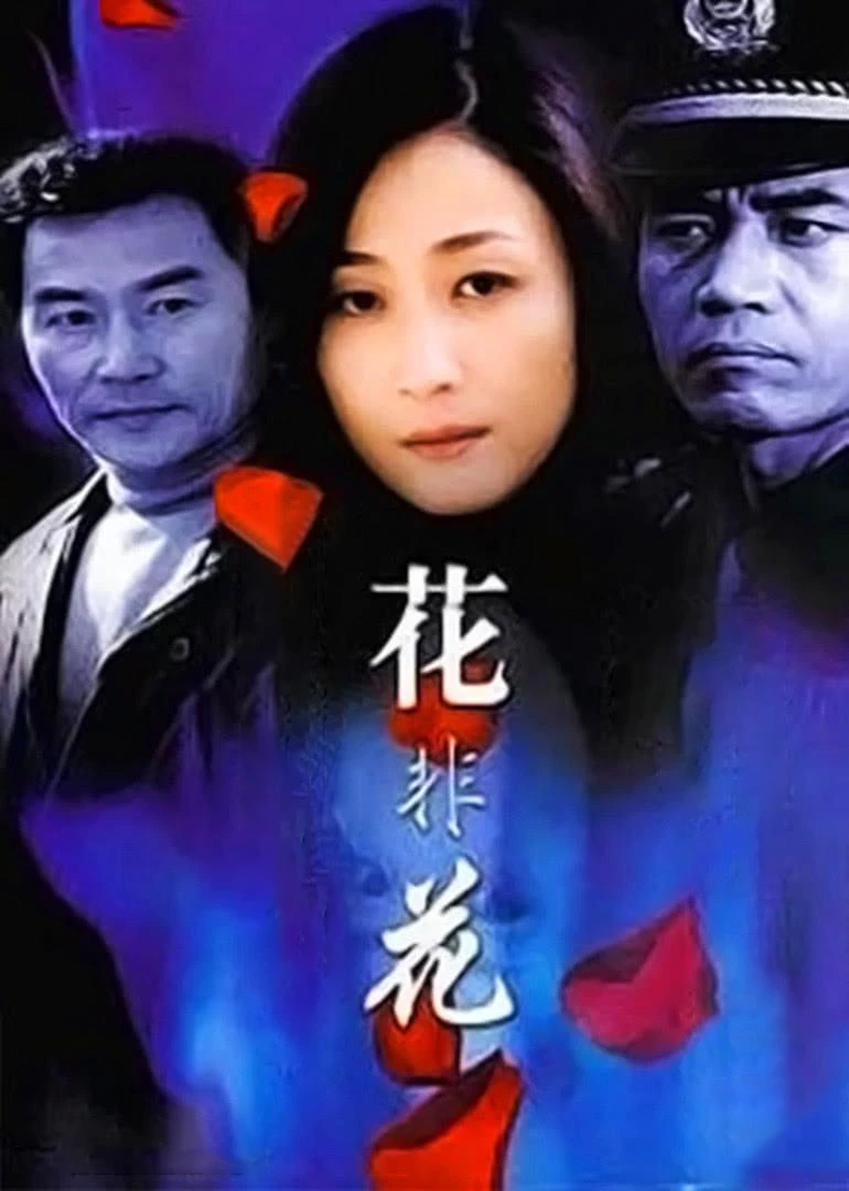 花非花(2012)海报