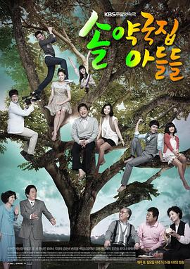 松药店的儿子们国语(2009)海报