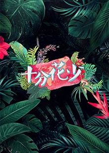 十分花少(2017)海报