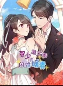 贺少的闪婚暖妻 动态漫第五季(2020)海报