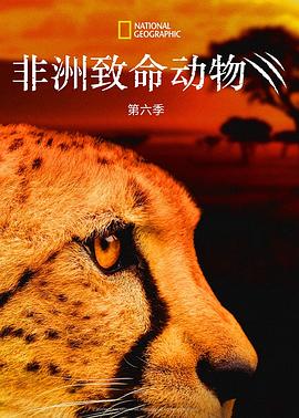 非洲致命动物第六季(2020)海报
